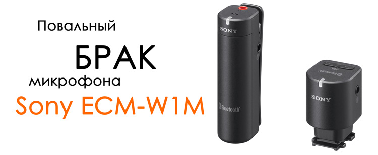 sony ecm-w1m