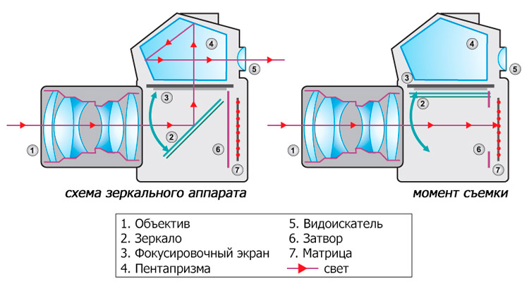 Зеркальный фотоаппарат внутри зеркалка внутри